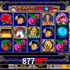 877BET Rio de Janeiro - Bonus Terms
